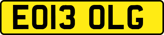 EO13OLG