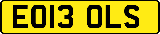 EO13OLS