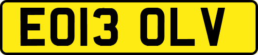 EO13OLV
