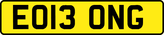 EO13ONG