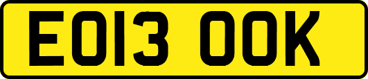 EO13OOK
