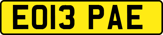EO13PAE