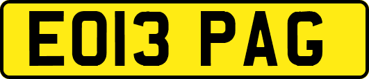 EO13PAG