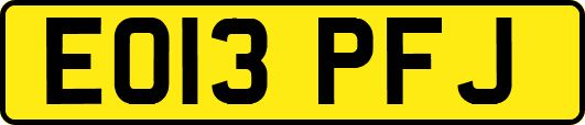 EO13PFJ