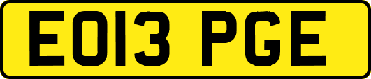 EO13PGE