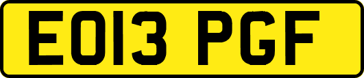 EO13PGF