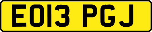 EO13PGJ