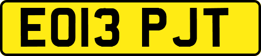 EO13PJT