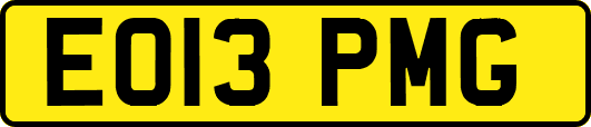 EO13PMG