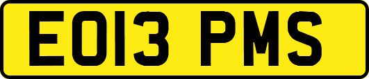 EO13PMS