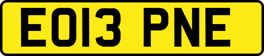 EO13PNE