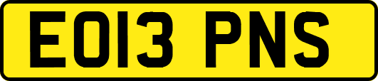 EO13PNS