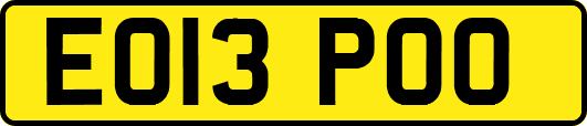 EO13POO