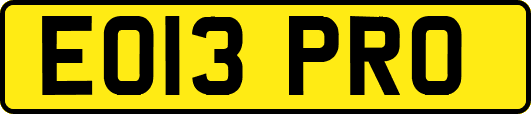 EO13PRO