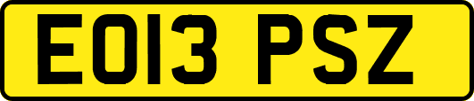 EO13PSZ