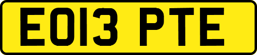 EO13PTE