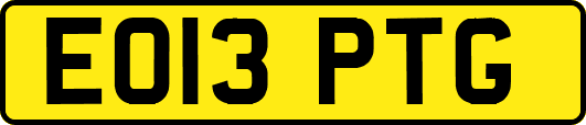 EO13PTG