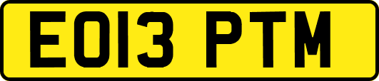 EO13PTM