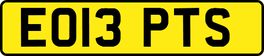 EO13PTS