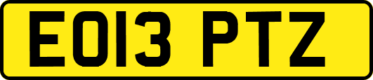 EO13PTZ