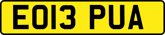 EO13PUA