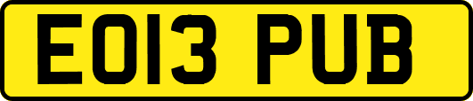 EO13PUB