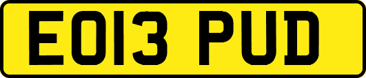 EO13PUD