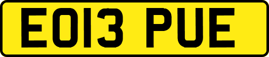 EO13PUE