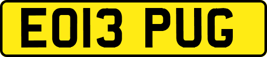 EO13PUG