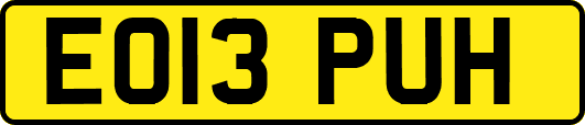 EO13PUH