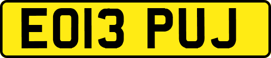 EO13PUJ