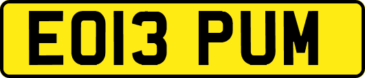 EO13PUM