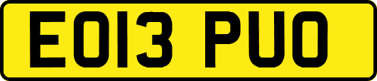 EO13PUO