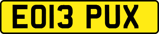 EO13PUX
