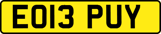 EO13PUY