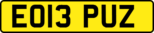 EO13PUZ