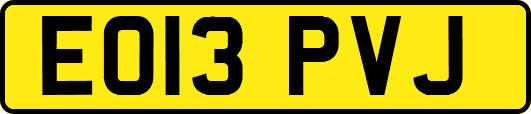 EO13PVJ