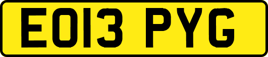 EO13PYG