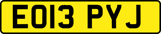 EO13PYJ