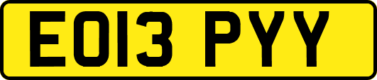 EO13PYY