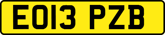 EO13PZB