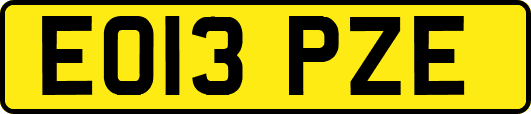 EO13PZE
