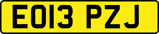 EO13PZJ