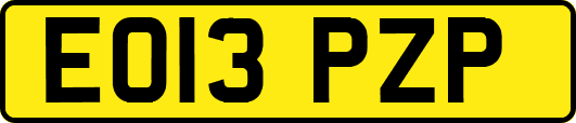 EO13PZP