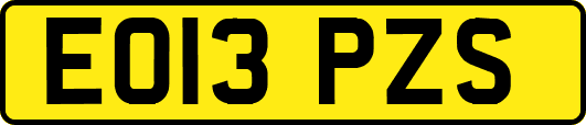 EO13PZS