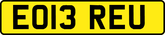EO13REU