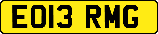 EO13RMG