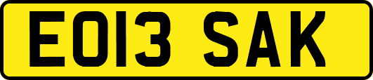 EO13SAK