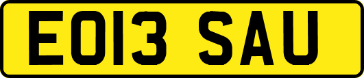 EO13SAU