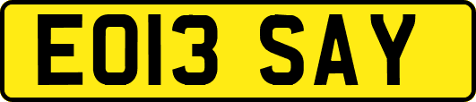 EO13SAY